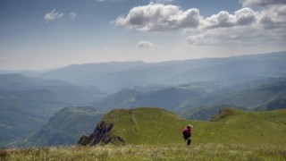 Where Will God Lead You?